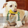 Squeaky Dog Chew Toy
