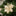 4 Stuks - Kerstglitter-Poinsettiabloem