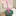 10.6 Inch Reusable Drinking Straw for starbucks cups