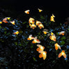 2 Pcs - Solar Powered LED Bee Stake Light-Next Deal Shop-Next Deal Shop
