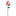 2 Pcs - Solar Powered Color Changing Rose Stake Light