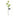 Solar Powered LED Dandelion Stake Light-Next Deal Shop-1 pc-Next Deal Shop