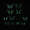 12 Pcs - Glow in the Dark Butterfly Decoration-Next Deal Shop-Next Deal Shop