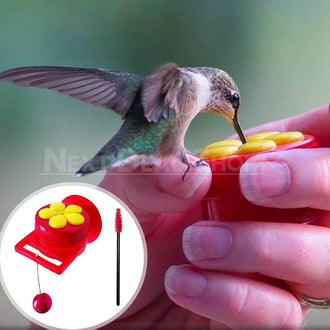 Alimentatori portatili per colibrì 