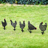 5 Pcs - Chicken Family Garden Silhouette Yard Stake-Next Deal Shop-Next Deal Shop