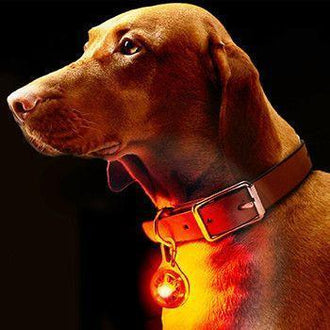 Luce di sicurezza per animali domestici a clip a LED 