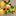 Sunflower Vine Garland Fairy Light