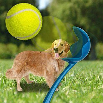 Lanciatore di palline da tennis per cani