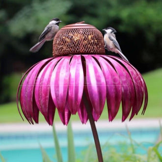 Alimentador de pássaros colibri coneflower