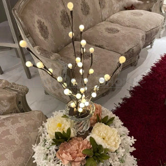 Lumière de brindille décorative confortable avec 20 globes LED