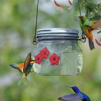 Mangiatoia per colibrì in barattolo di vetro