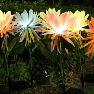 Luce da palo per fiori di Epiphyllum ad energia solare