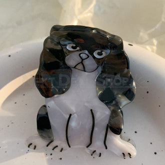 Cavalier King Charles Spaniël haarklauw