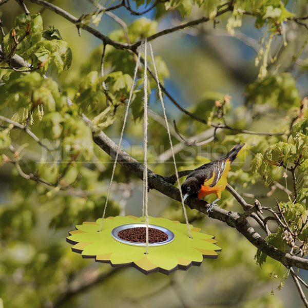 Outdoor Hanging Bird Feeder-Next Deal Shop-Next Deal Shop