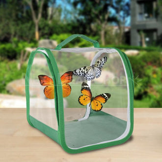 Cage portative pour habitat de papillon 