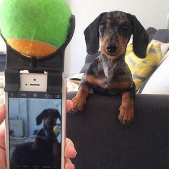 Bastone selfie per cani: scatta selfie con il tuo cane!