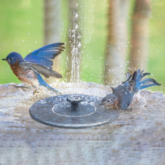 Kit de fonte de água externa movido a energia solar - ótimo complemento para o seu jardim!