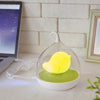 Veilleuses à intensité variable pour cage à oiseaux pour enfants - Rechargeable par USB