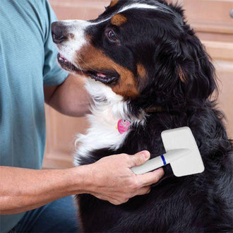 Spazzola per animali domestici