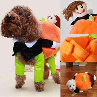 Costume da zucca con cagnolino